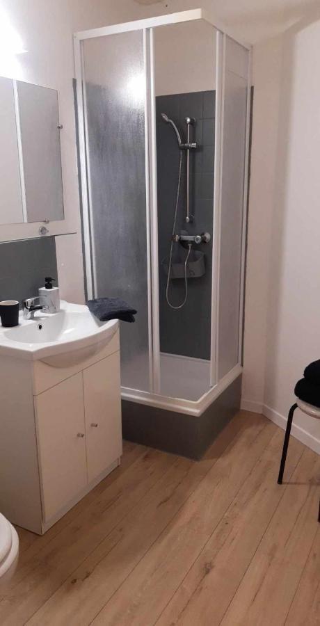 Studio O Grand Canal ! Toulouse Bagian luar foto